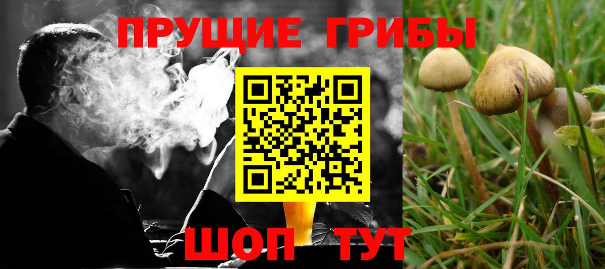 Псилоцибиновые грибы мухоморы Уссурийск