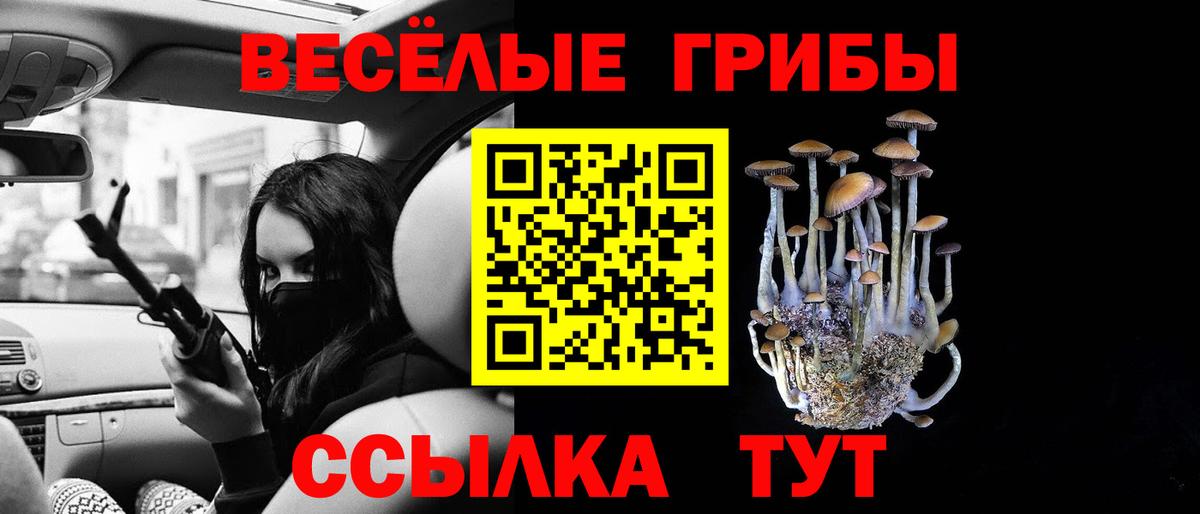 Уссурийск  Псилоцибиновые грибы Magic Shrooms  купить закладку  Вход с VPN  Галлюциногенные грибы Cubensis 